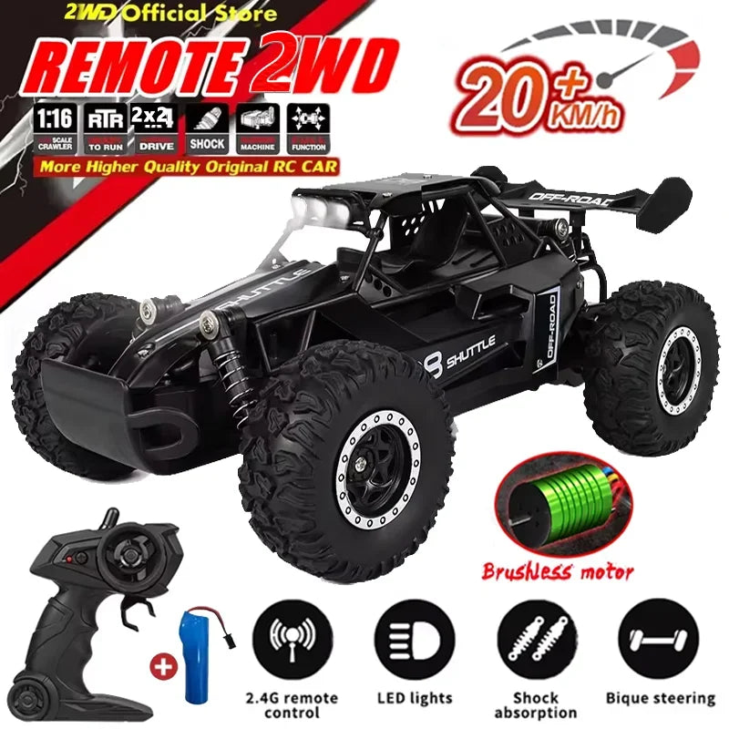 RC 2WD High Speed Buggy